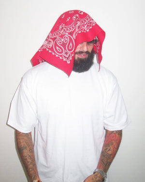 hav-a-hank red paisley bandana